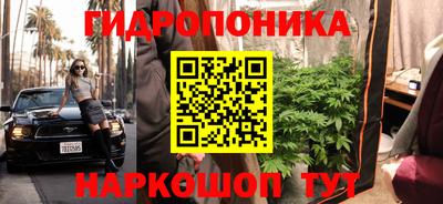 прущие грибы Апрелевка